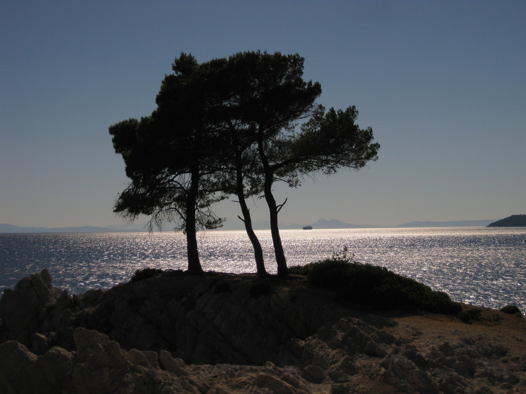 Amarantos 3 pines (2)